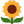 flower-2